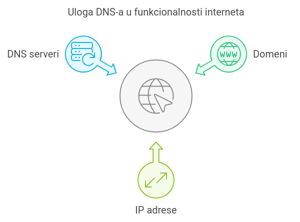 uloga dnsA